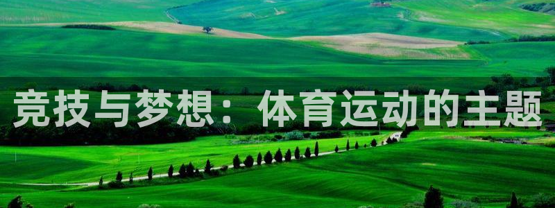 3377体育官方正版app科技:竞技与梦想:体育运动的主题